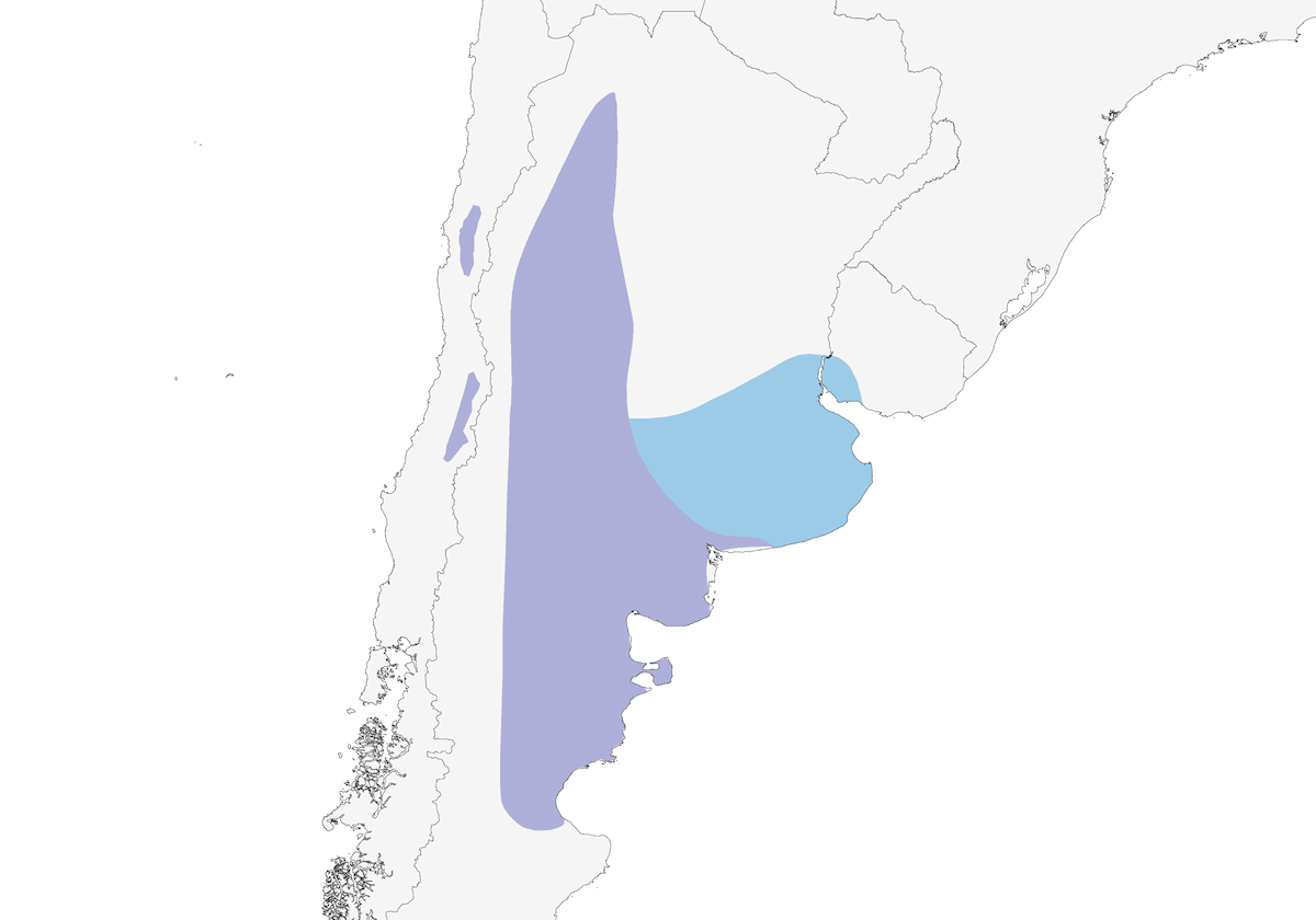 Parrocchetto delle tane, Distribuzione 1