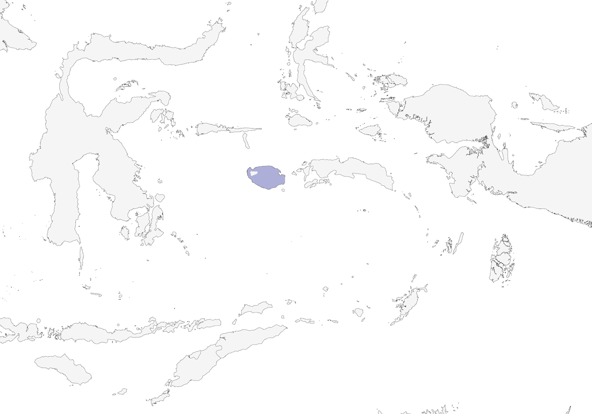 Occhialino di Buru, Distribuzione 1