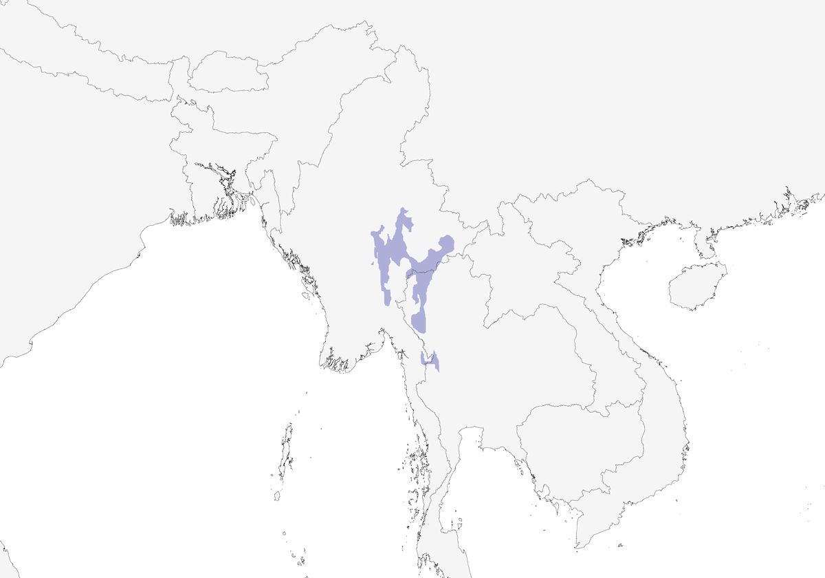 Burma-Yuhina, Verbreitung 1