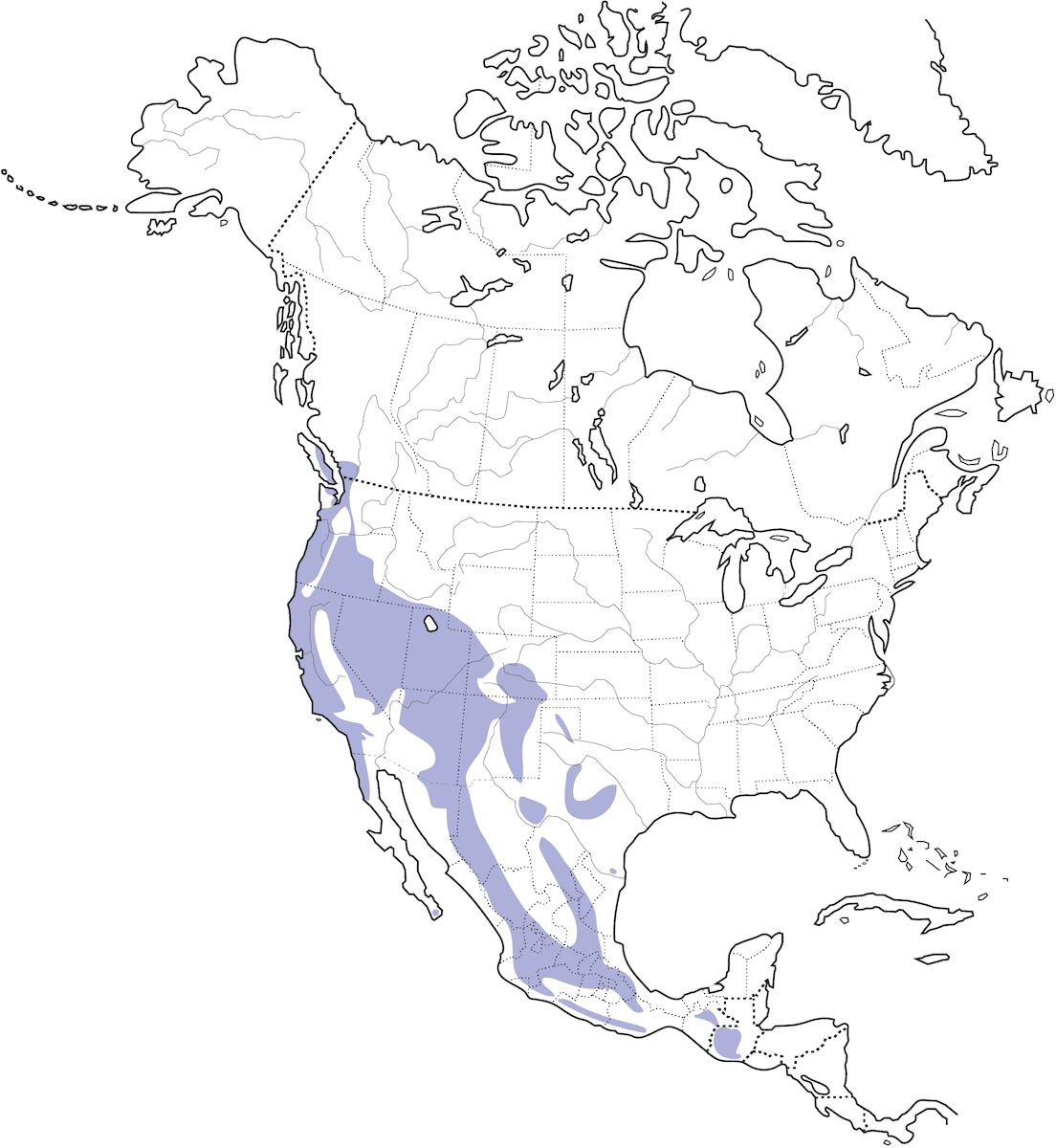 Cincia remezina americana, Distribuzione 1