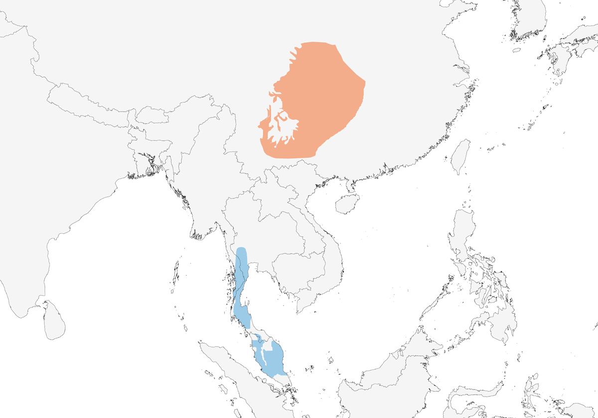 Chinese Blue Flycatcher, Distribution 1