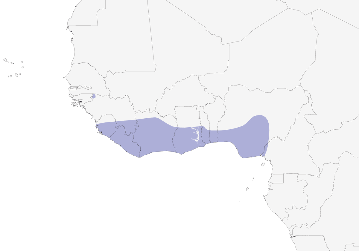 Buff-throated Sunbird, Distribution 1