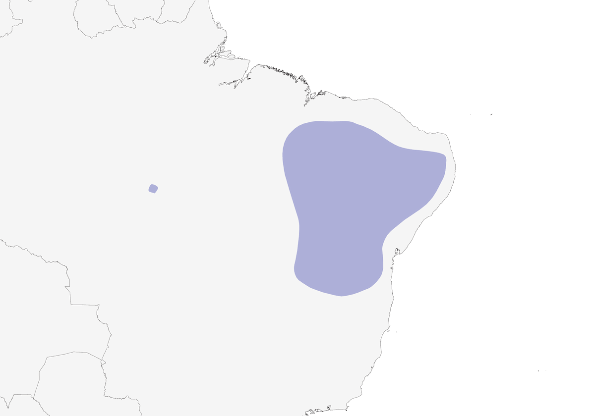 Formichiere nano della Caatinga, Distribuzione 1
