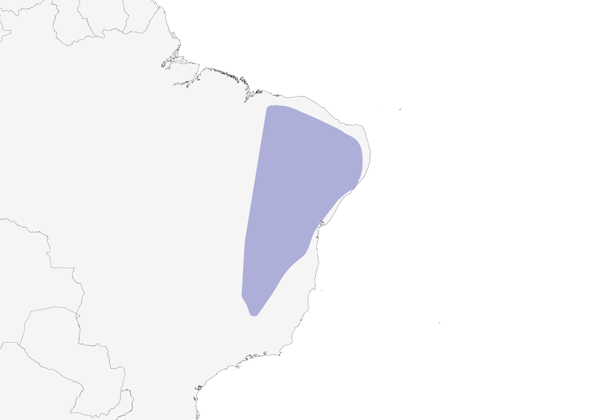 Caatinga-Cacholote, Verbreitung 1