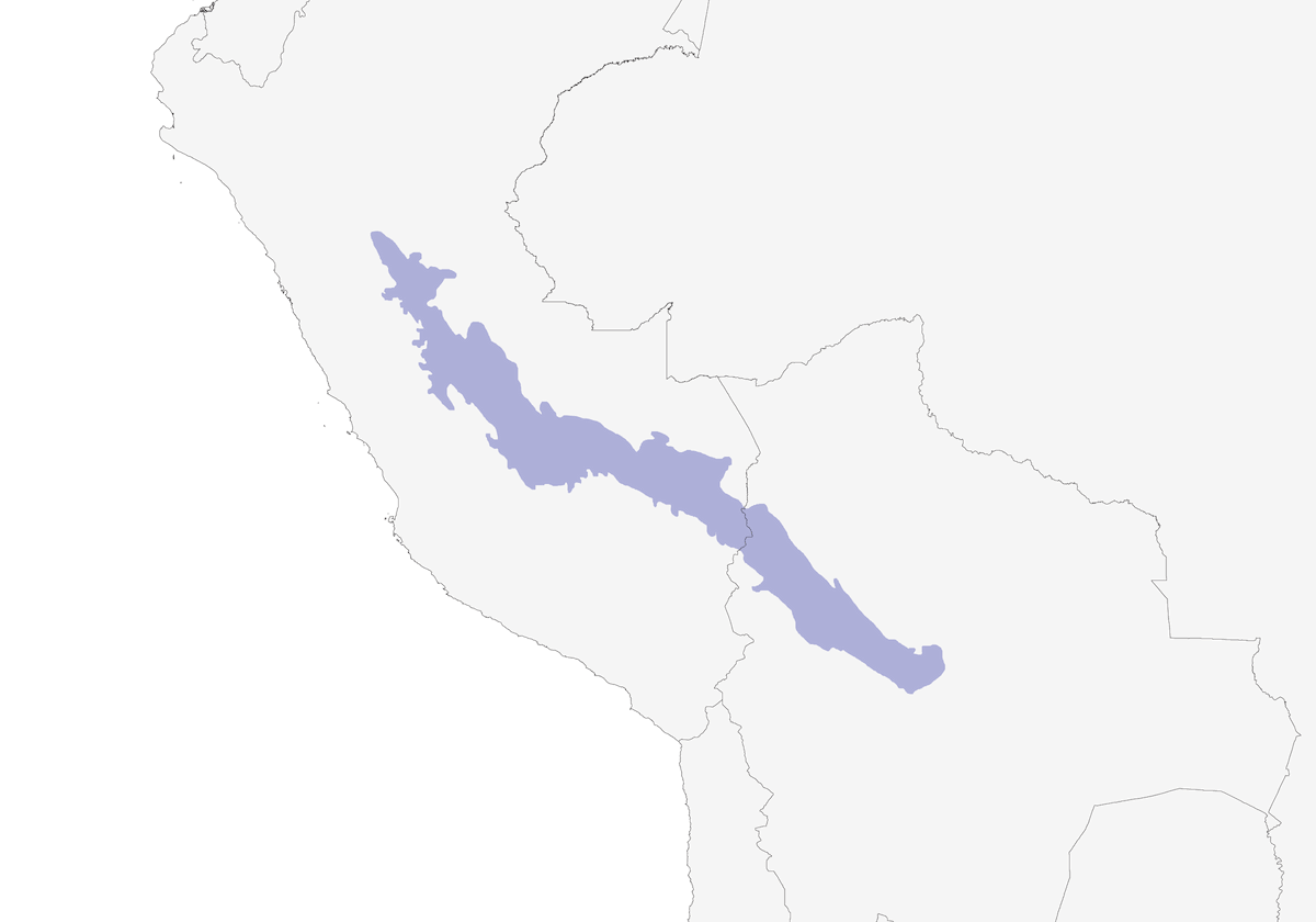 Cabanis's Spinetail, Distribution 1