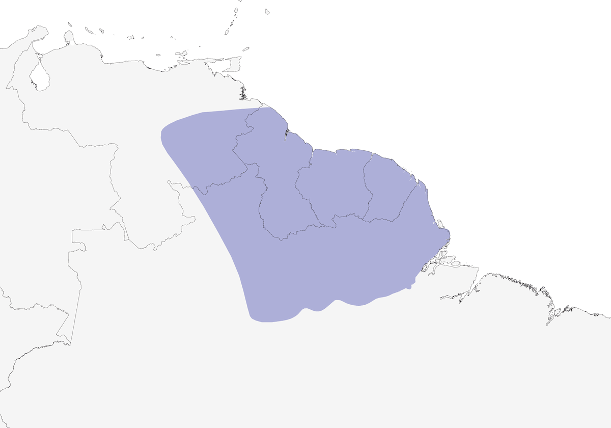 Pappagallo caica, Distribuzione 1