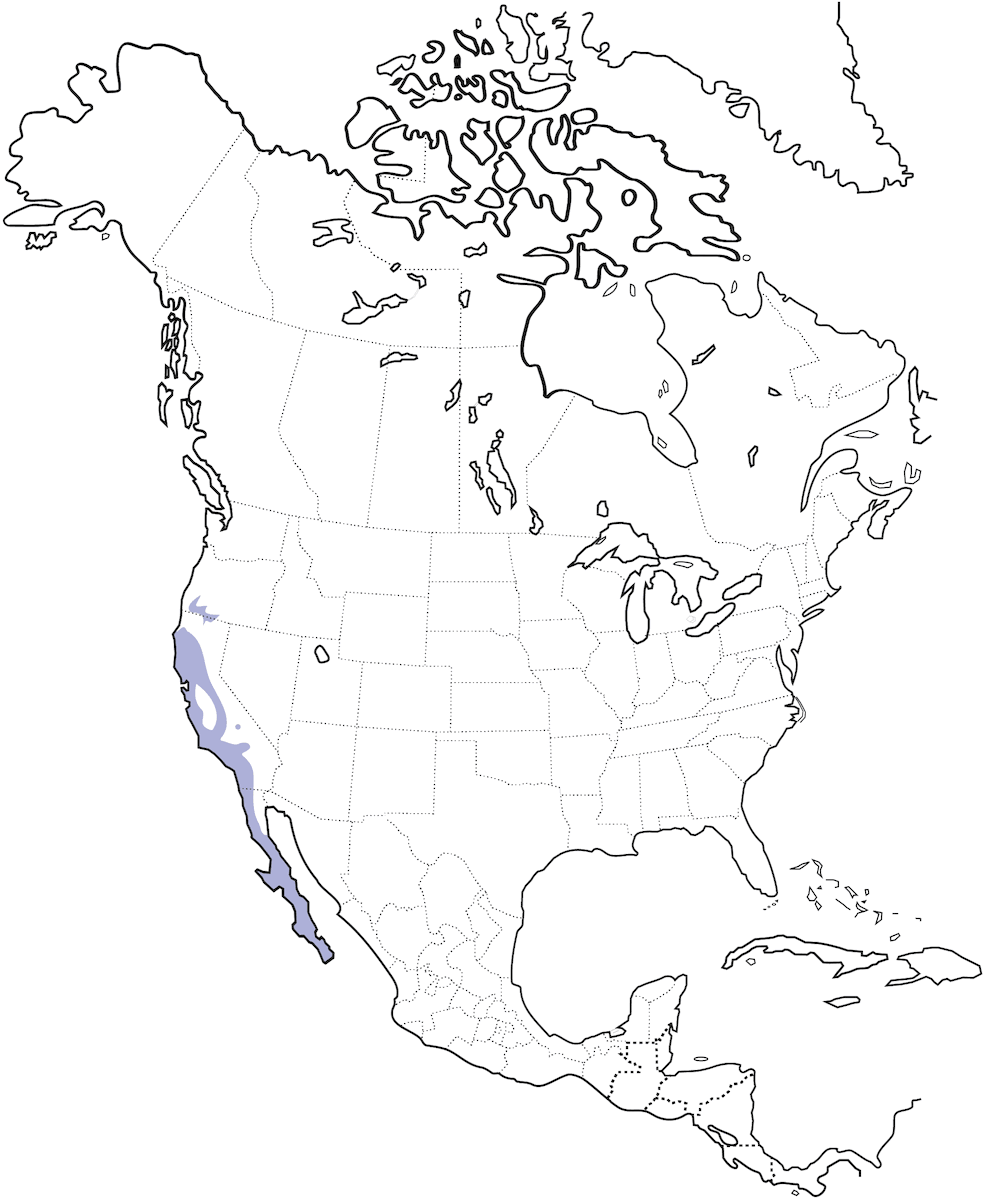Rascador de California, Distribución 1