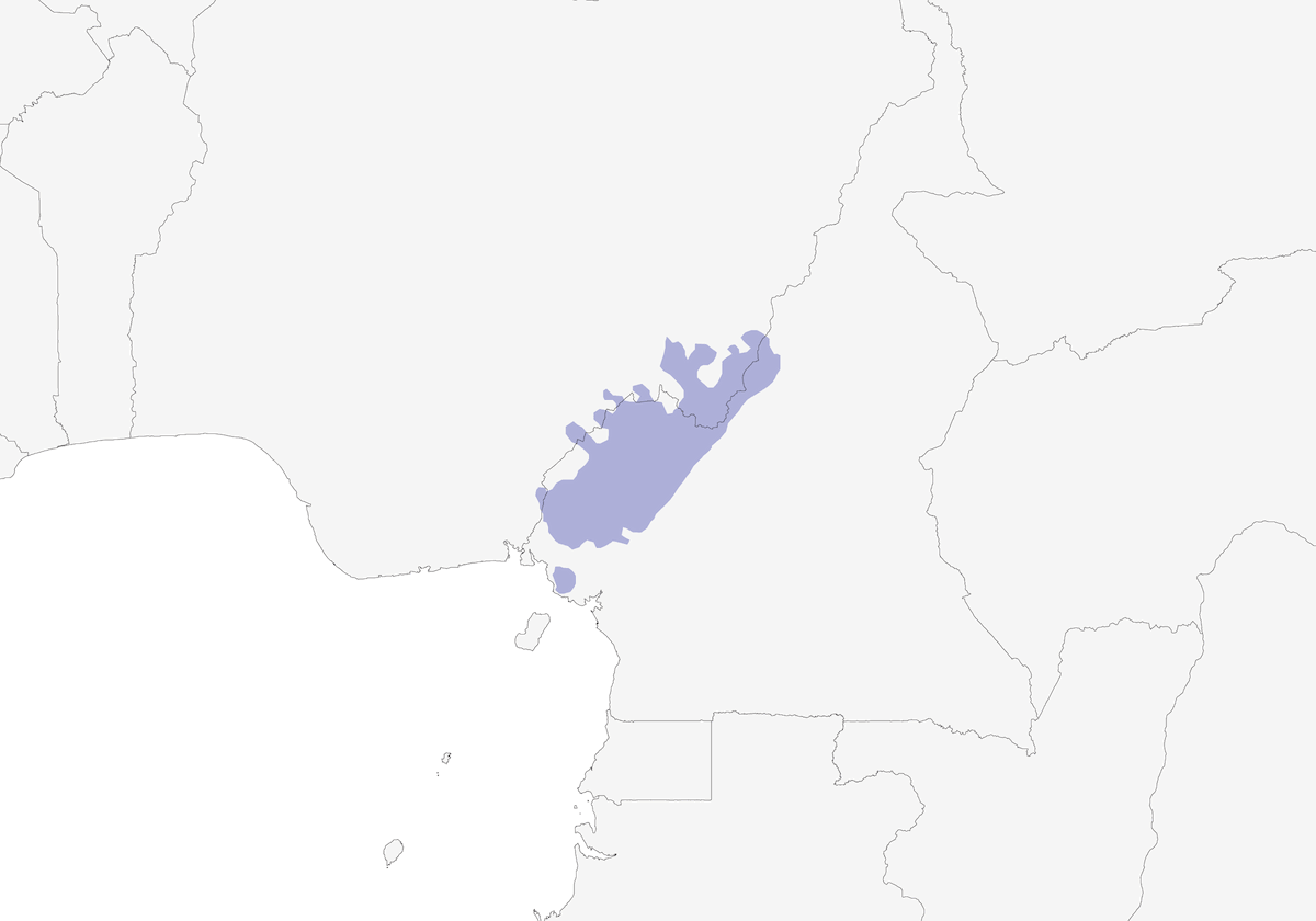 Bulbul montano del Camerun, Distribuzione 1