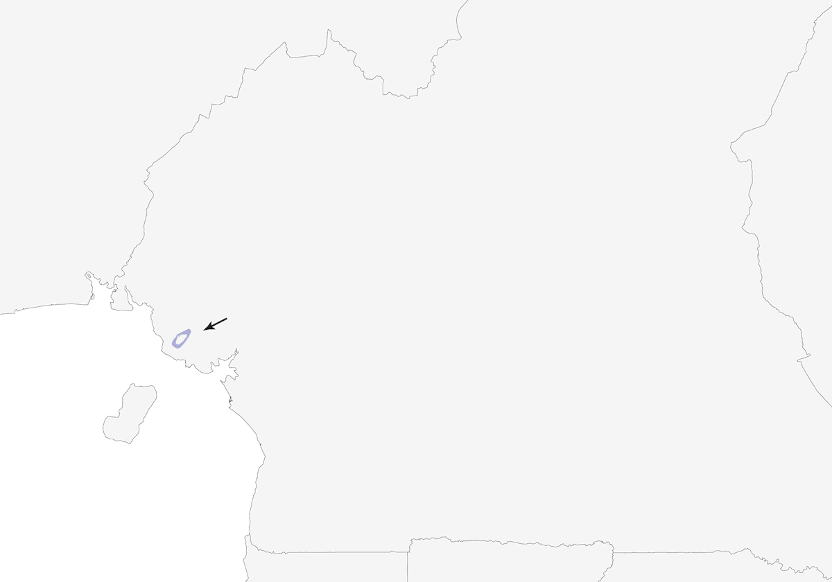 Speirops de Camerún, Distribución 1