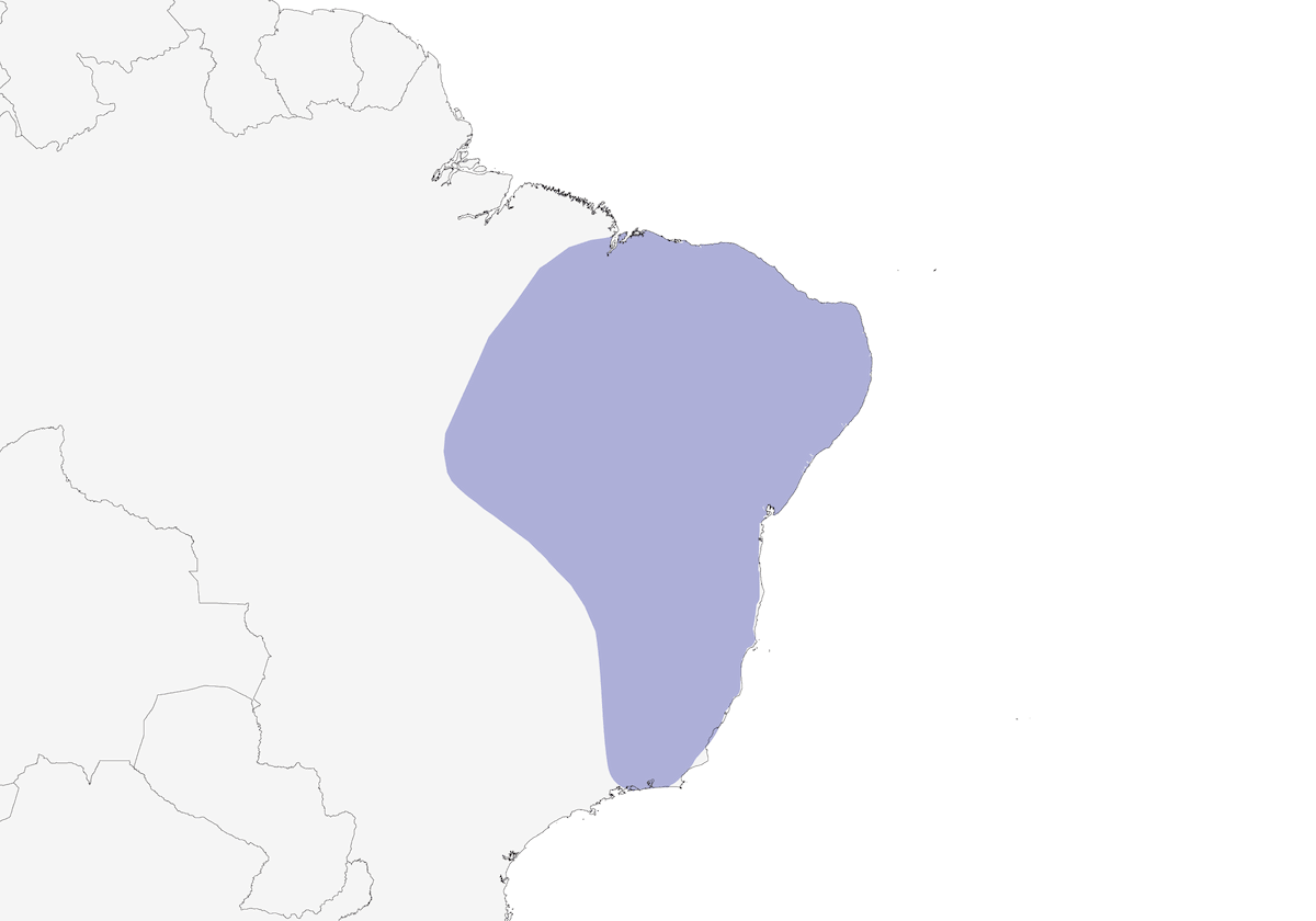 Trupiale di Campo, Distribuzione 1
