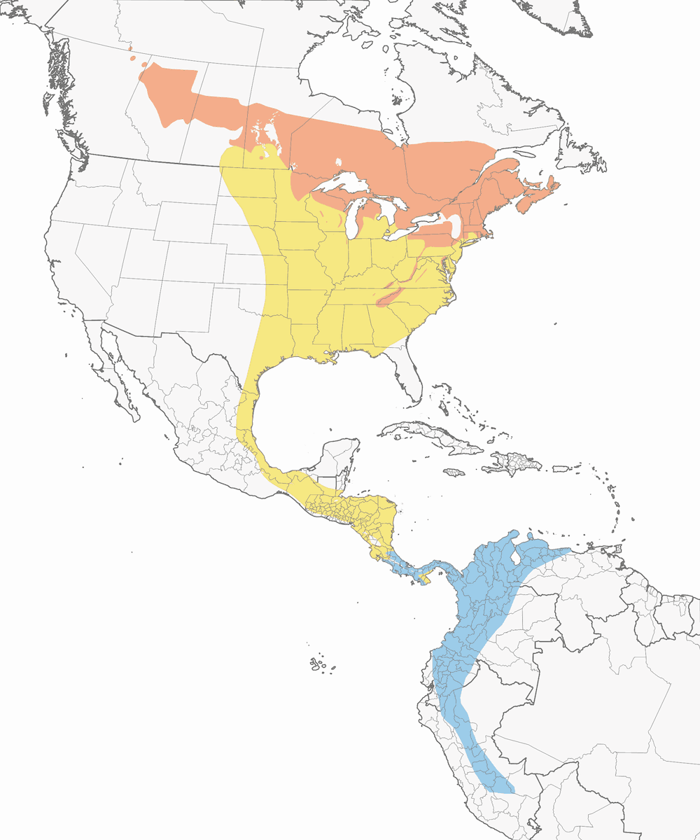 Canada Warbler, Distribution 1