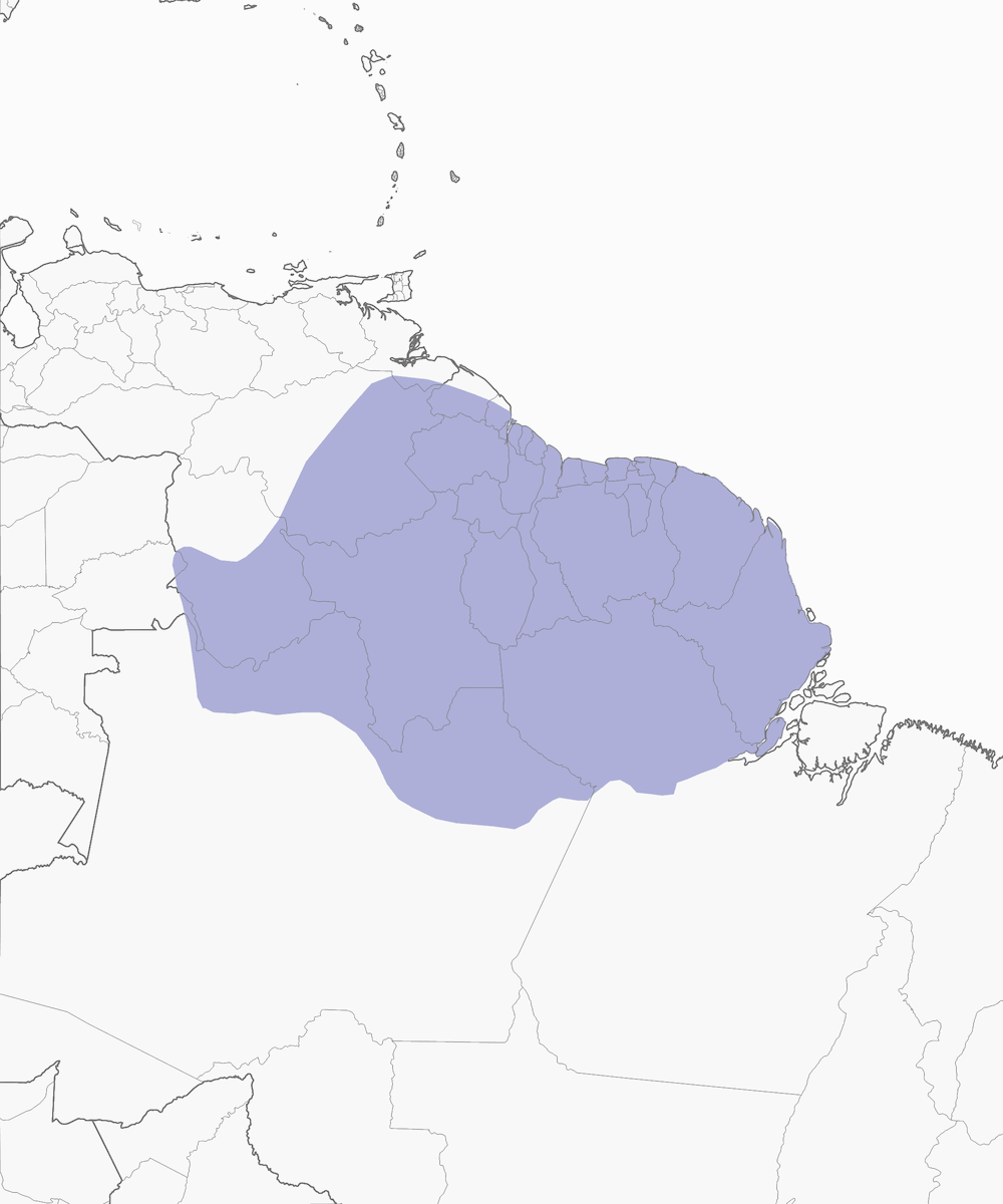 Pájaro Monje, Distribución 1