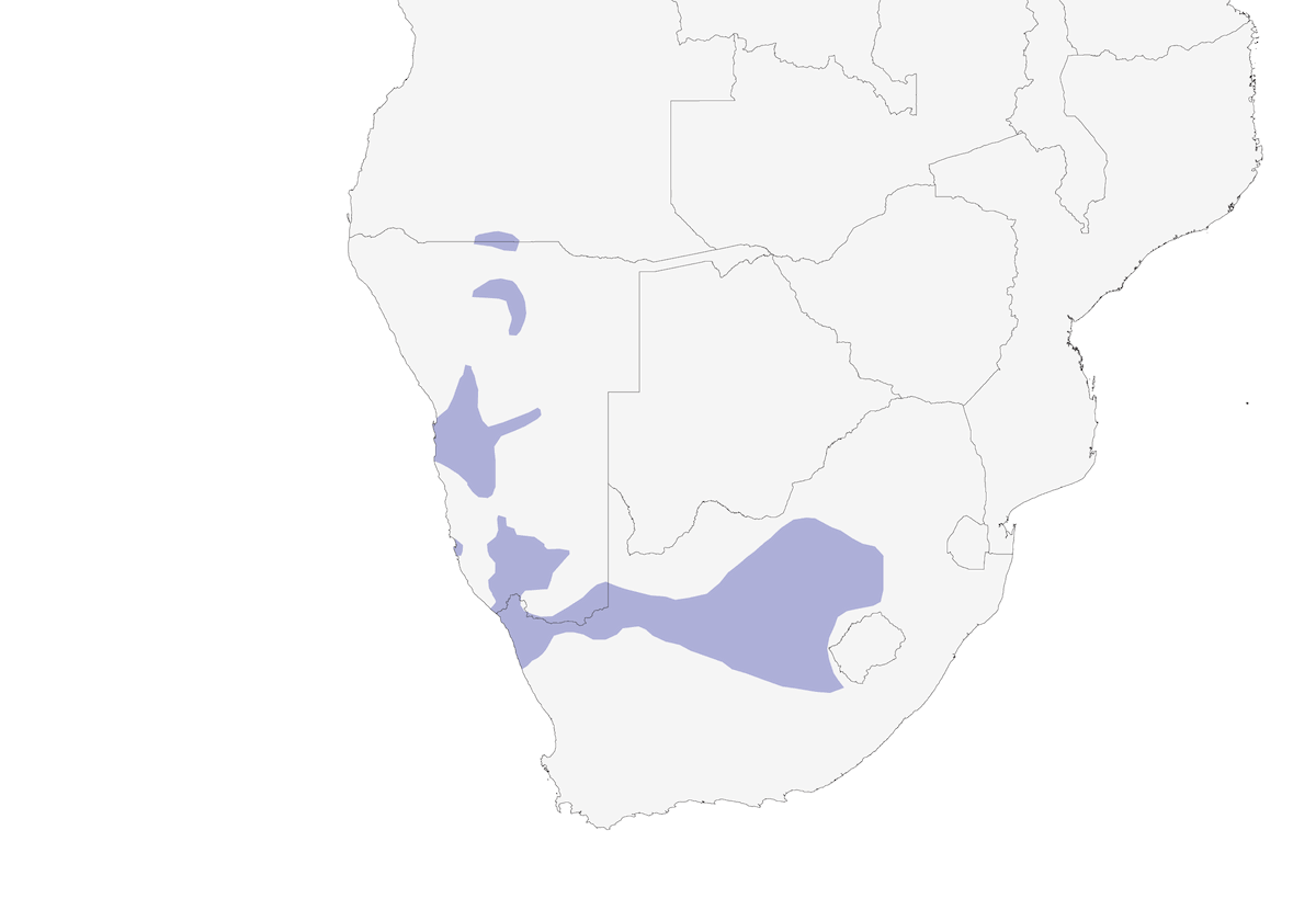 Anteojitos del Río Orange, Distribución 1