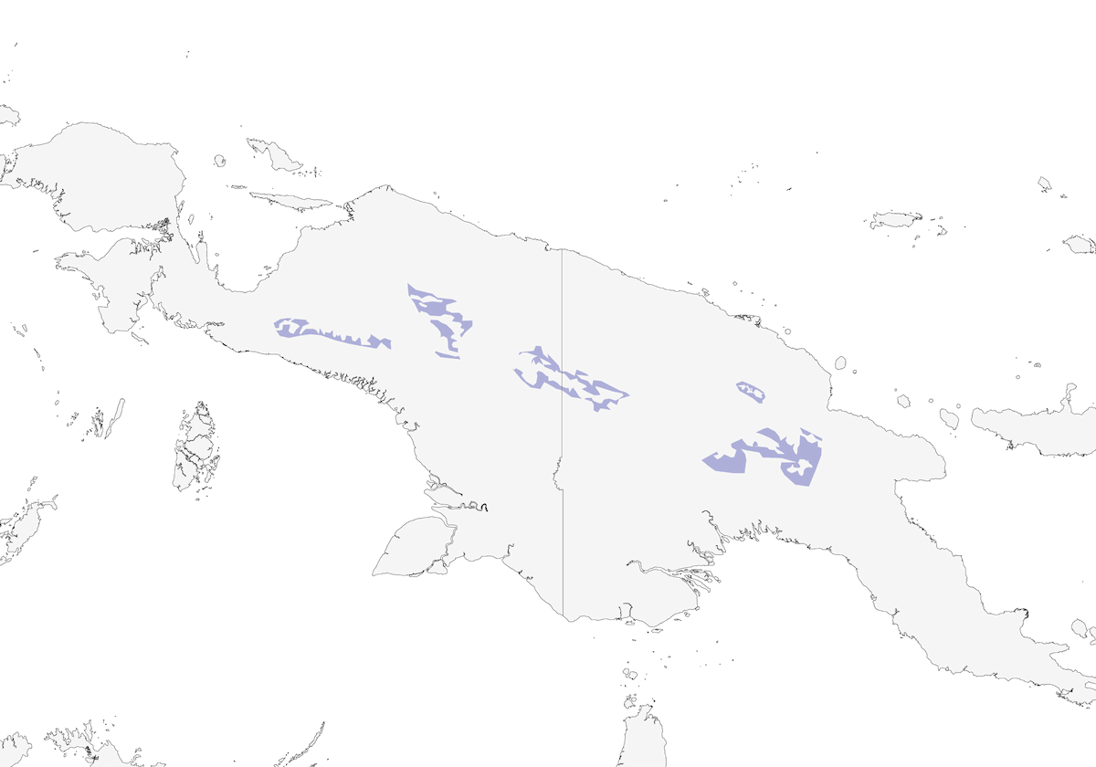 Parotia di Carola, Distribuzione 1