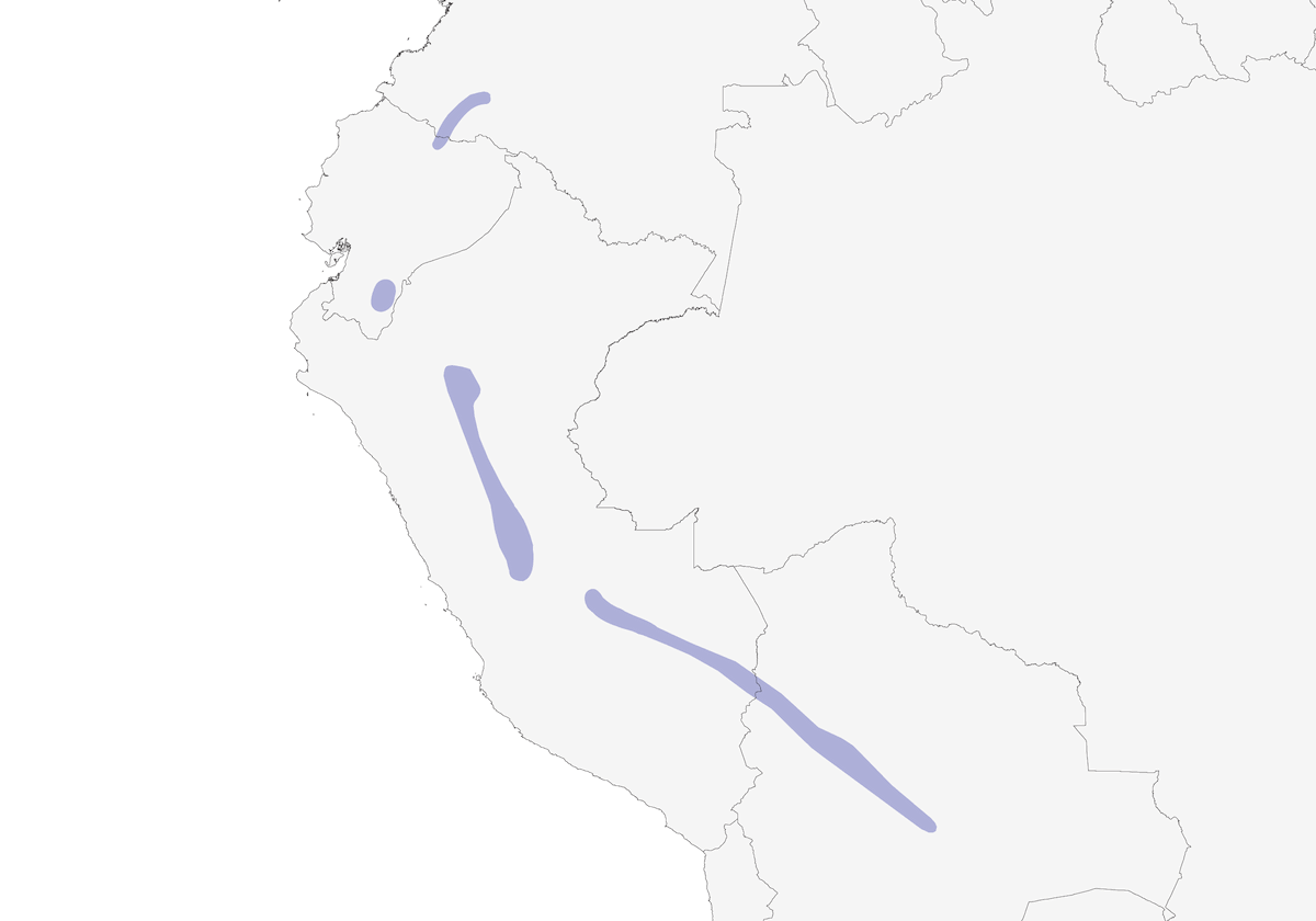 Tángara Loriamarilla, Distribución 1