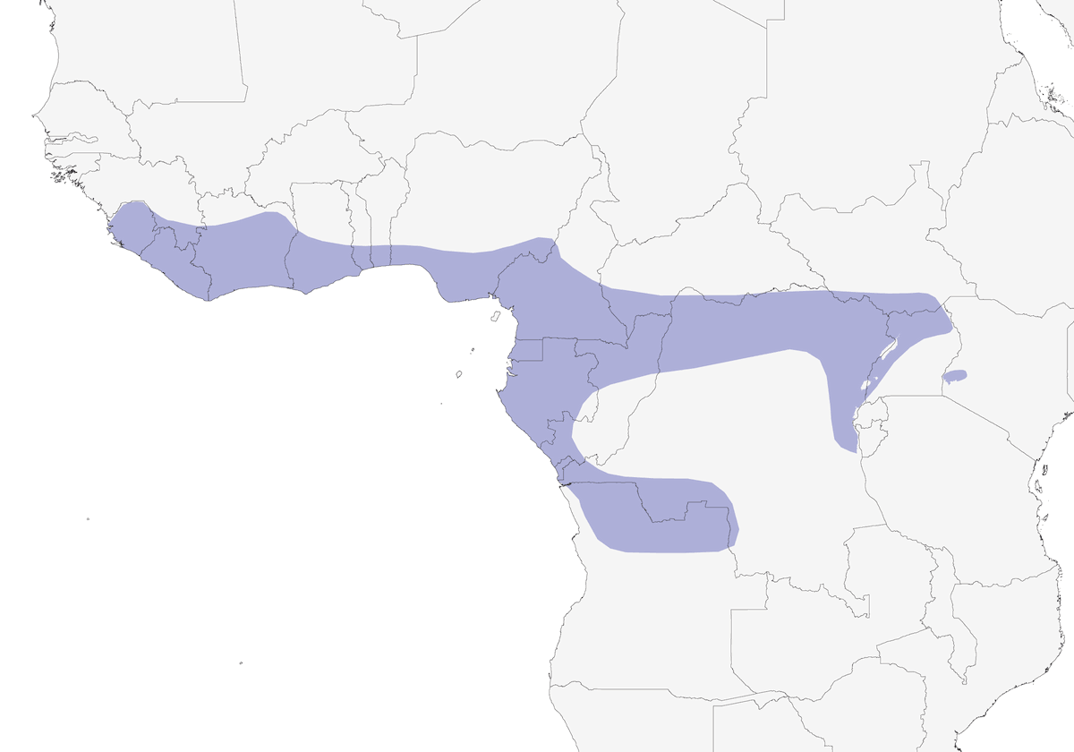 Indicatore di Cassin, Distribuzione 1