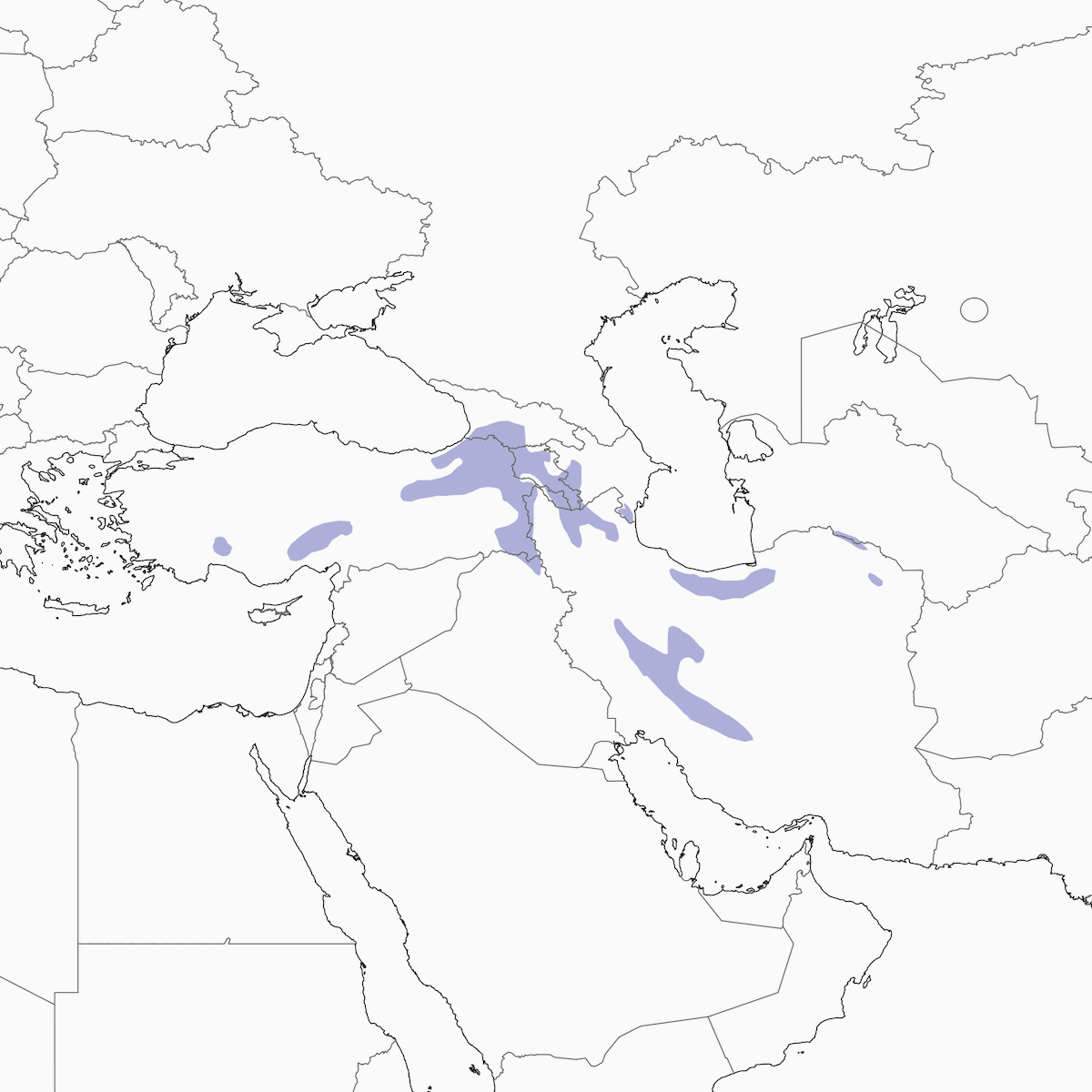 Caspian Snowcock, Distribution 1
