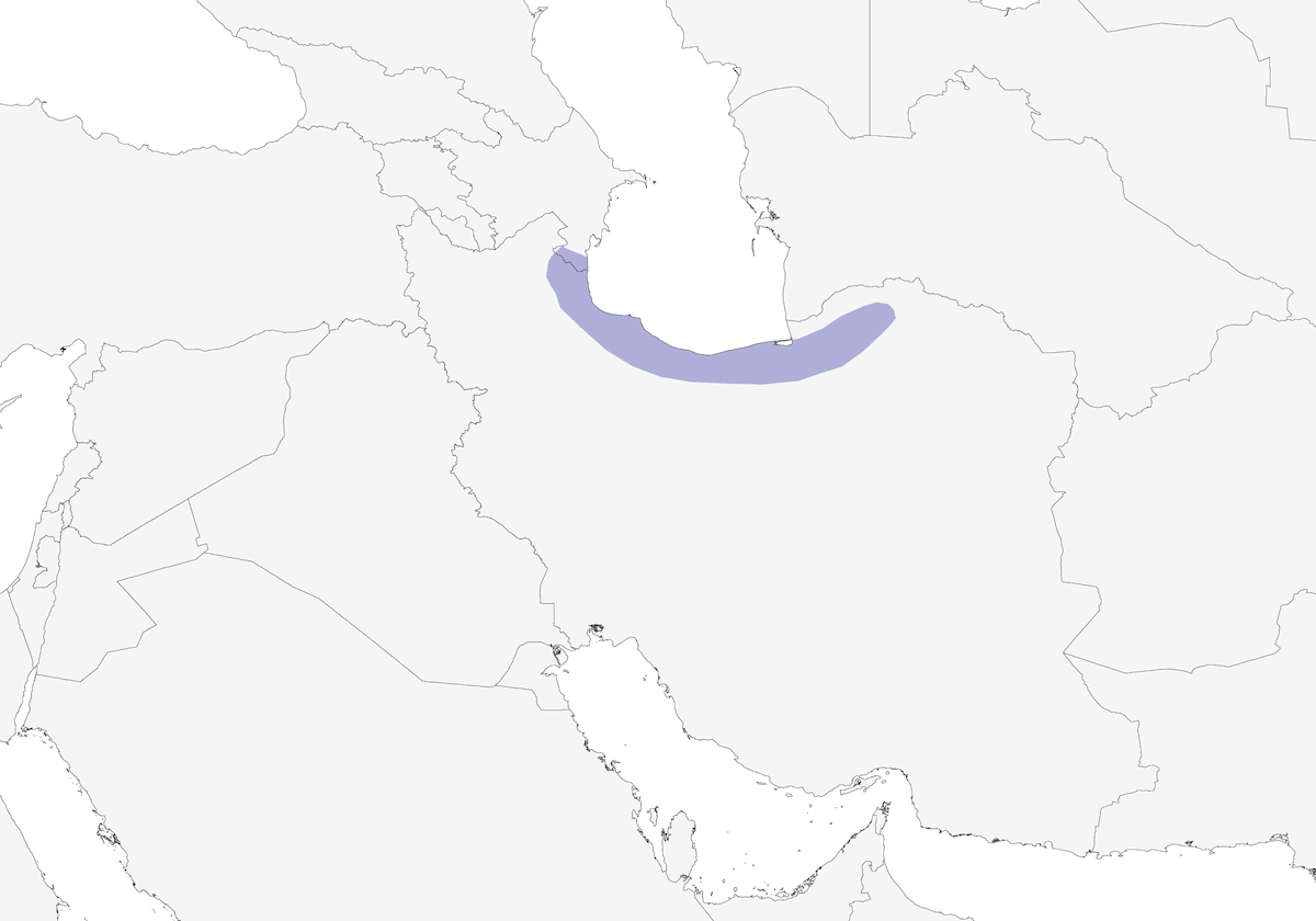 Caspian Tit, 分布 1