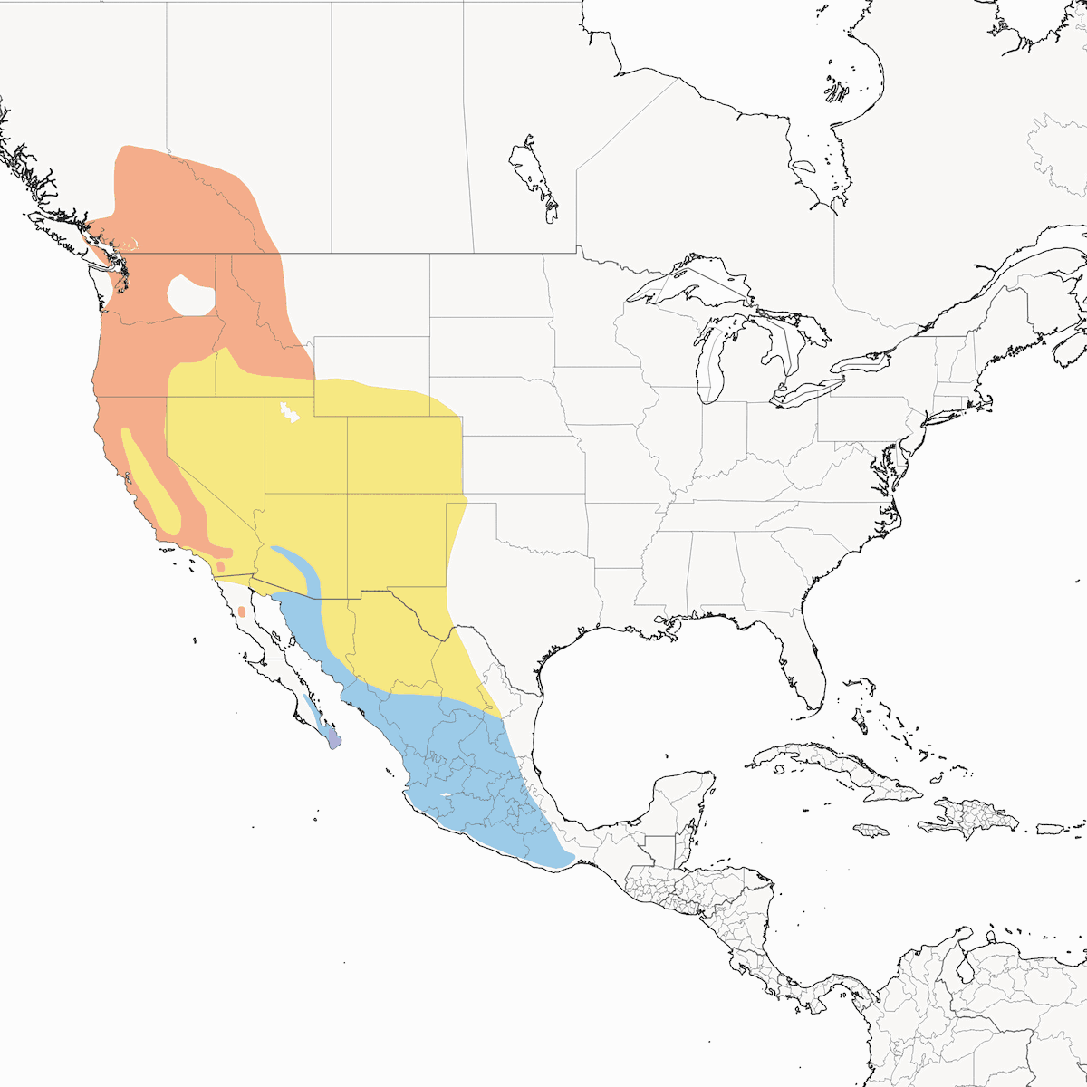 Cassin's Vireo, Distribution 1