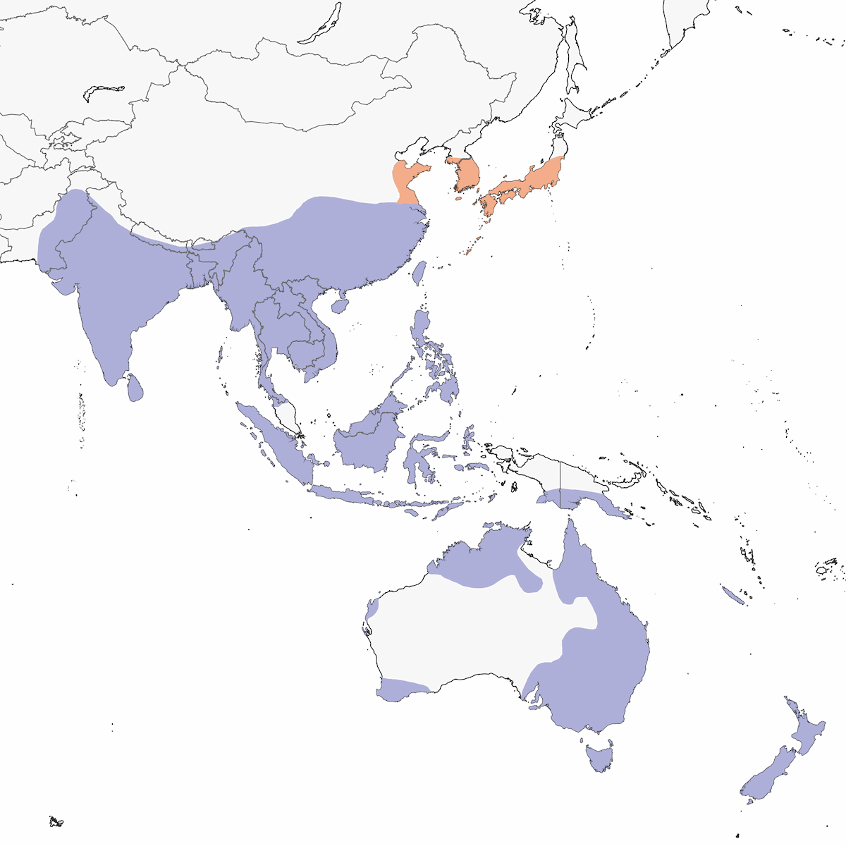 Héron garde-bœufs d'Orient, Distribution 1