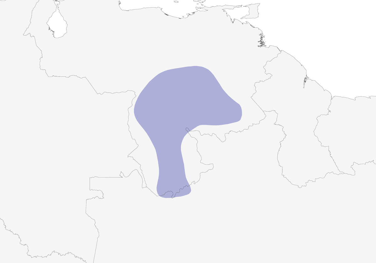 Caura-Ameisenvogel, Verbreitung 1