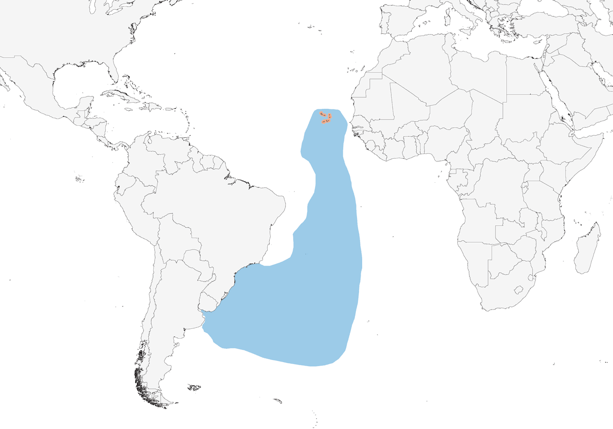 Cape Verde Shearwater, 分布 1