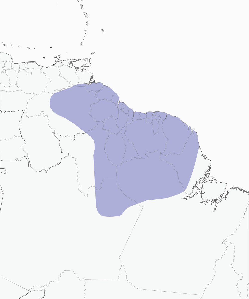 Ghiandaia della Caienna, Distribuzione 1