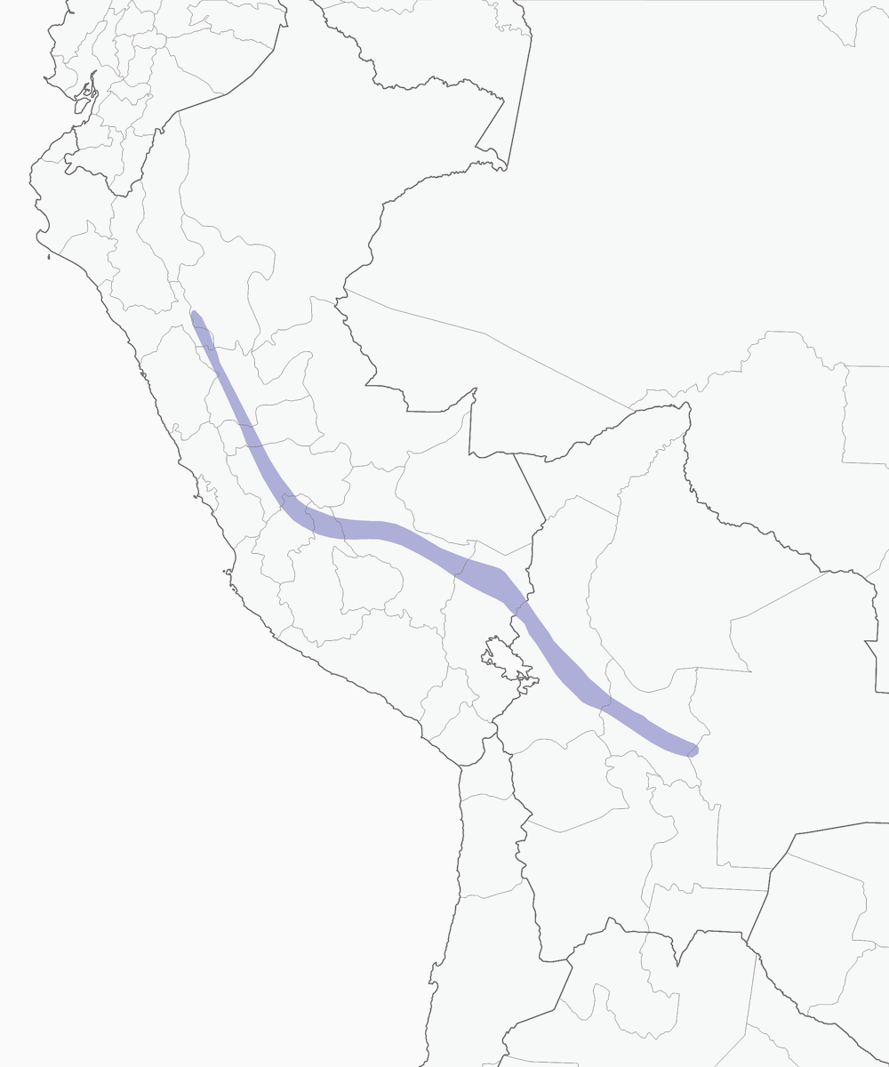 Tangara Montana Ventricastaña, Distribución 1
