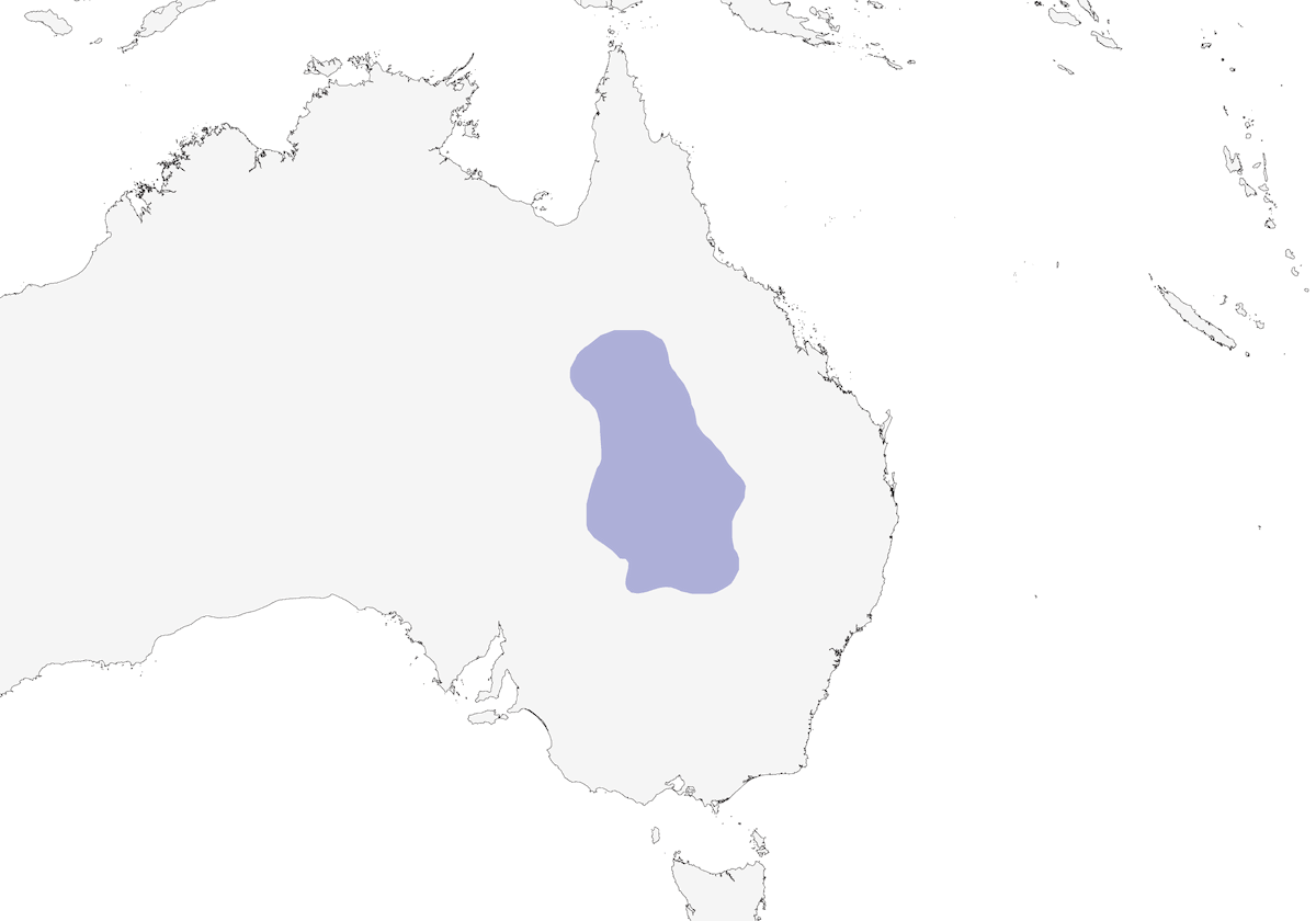 Chestnut-breasted Quail-thrush, Distribution 1