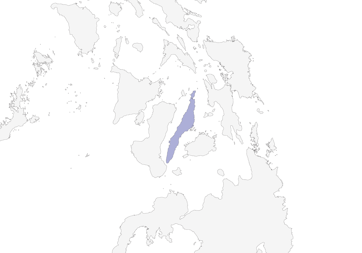 Cebu Boobook, Distribution 1