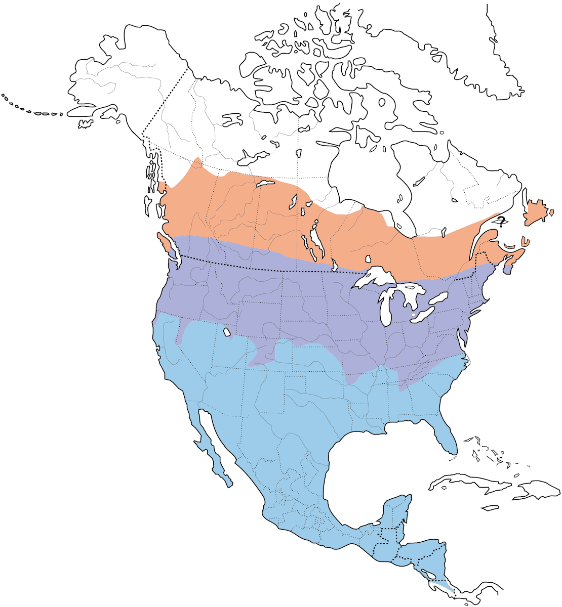 Cedar Waxwing, Distribution 1