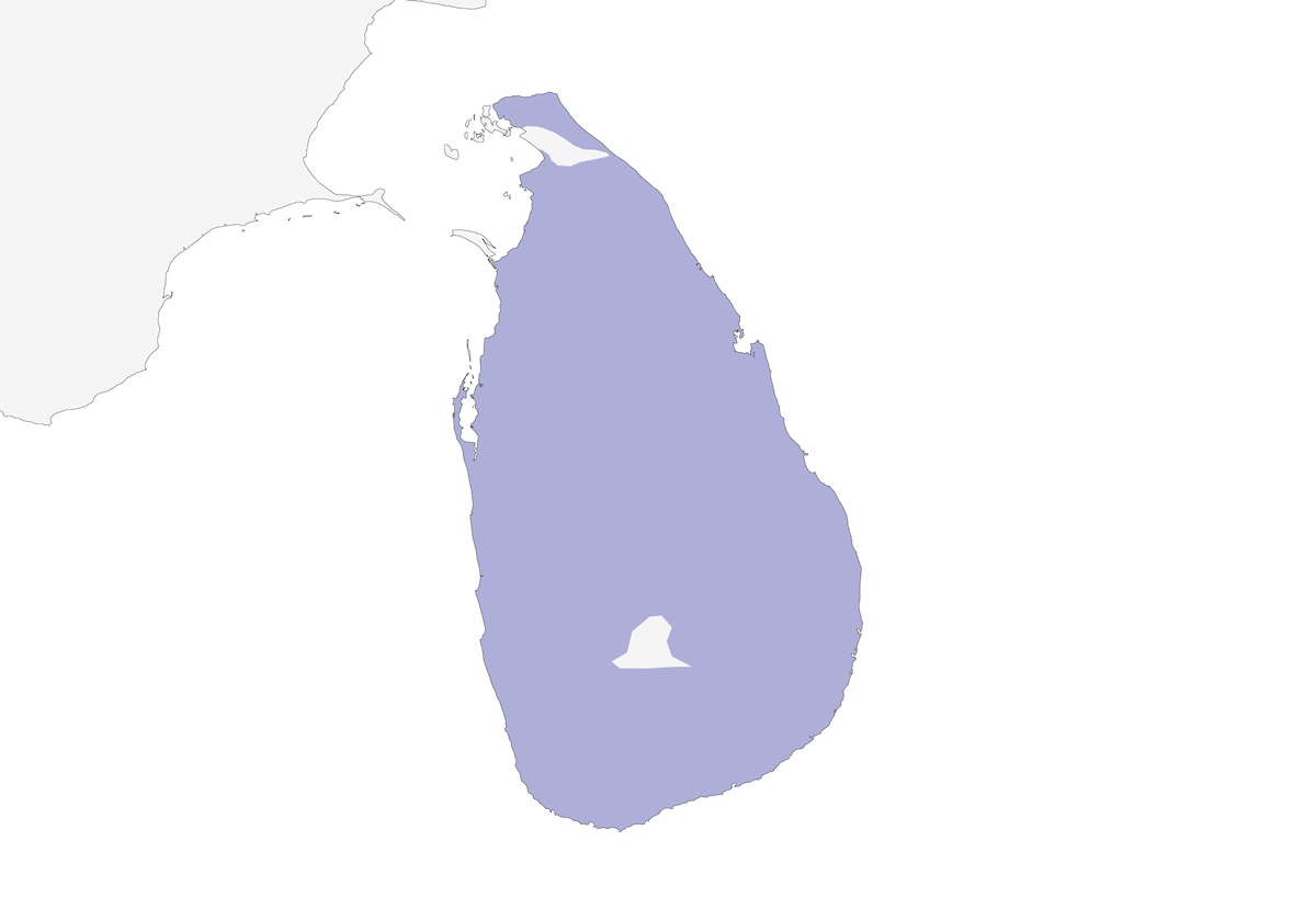 Sri Lanka Gray Hornbill, Distribution 1