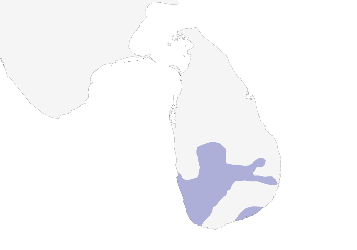 Sri Lanka Hanging-Parrot, Distribution 1
