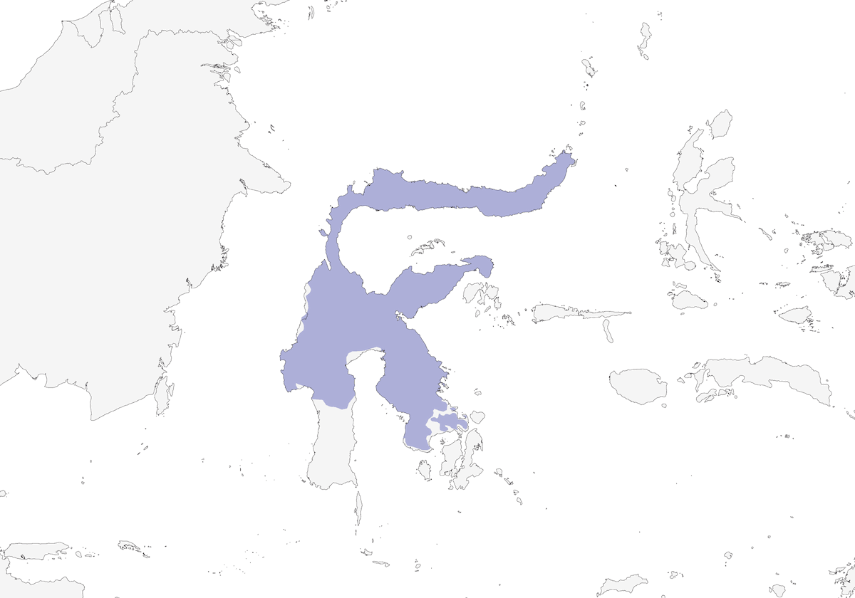 Cerulean Cuckooshrike, 分布 1
