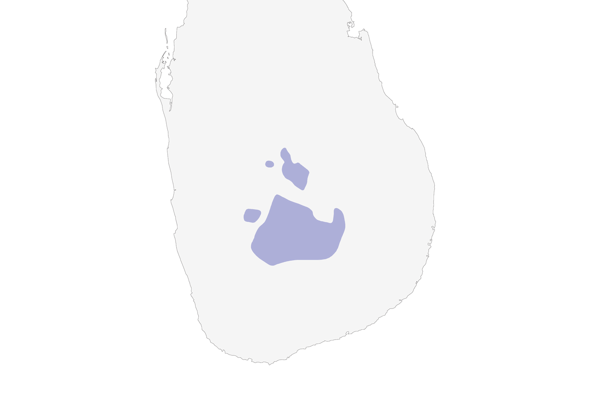 Sri Lanka Bush Warbler, Distribution 1