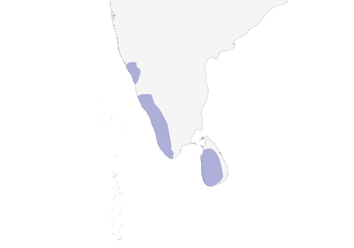 Sri Lanka Frogmouth, Distribution 1