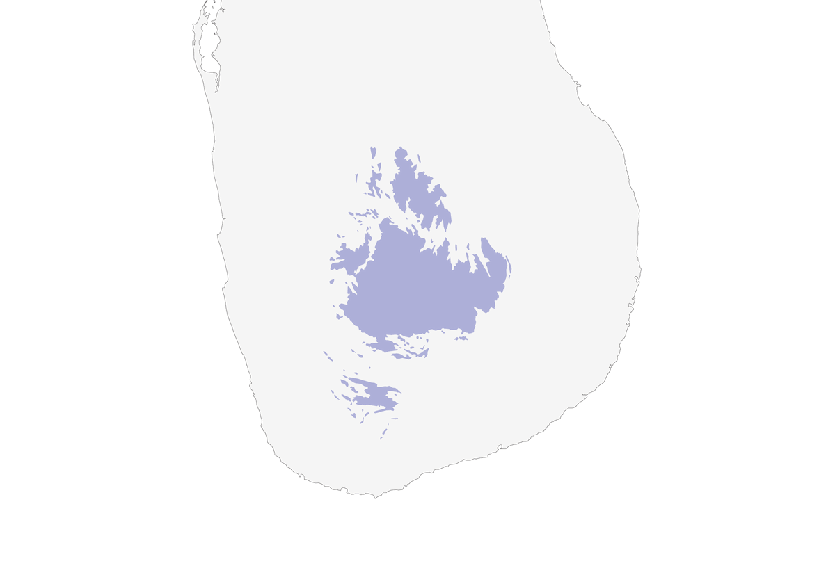 Colombo di Sri Lanka, Distribuzione 1