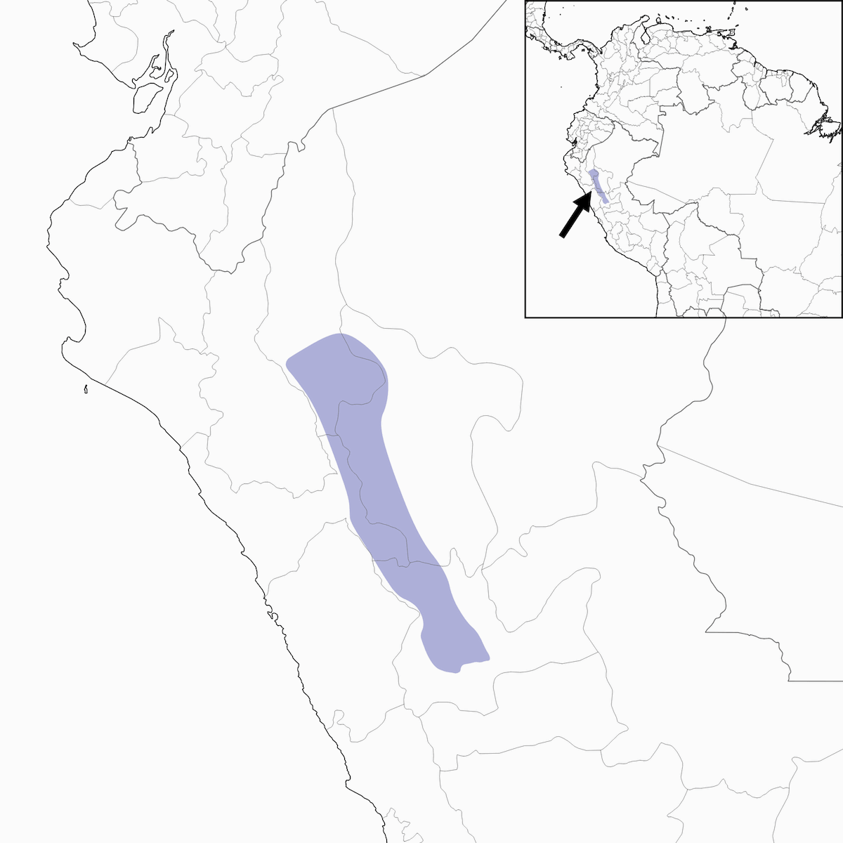 Chachapoyas Antpitta, 分布 1