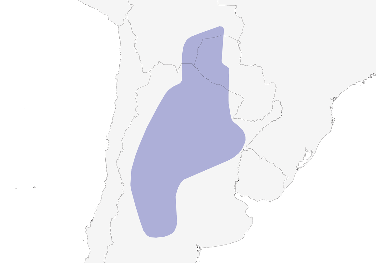 Bandurrita del Chaco, Distribución 1