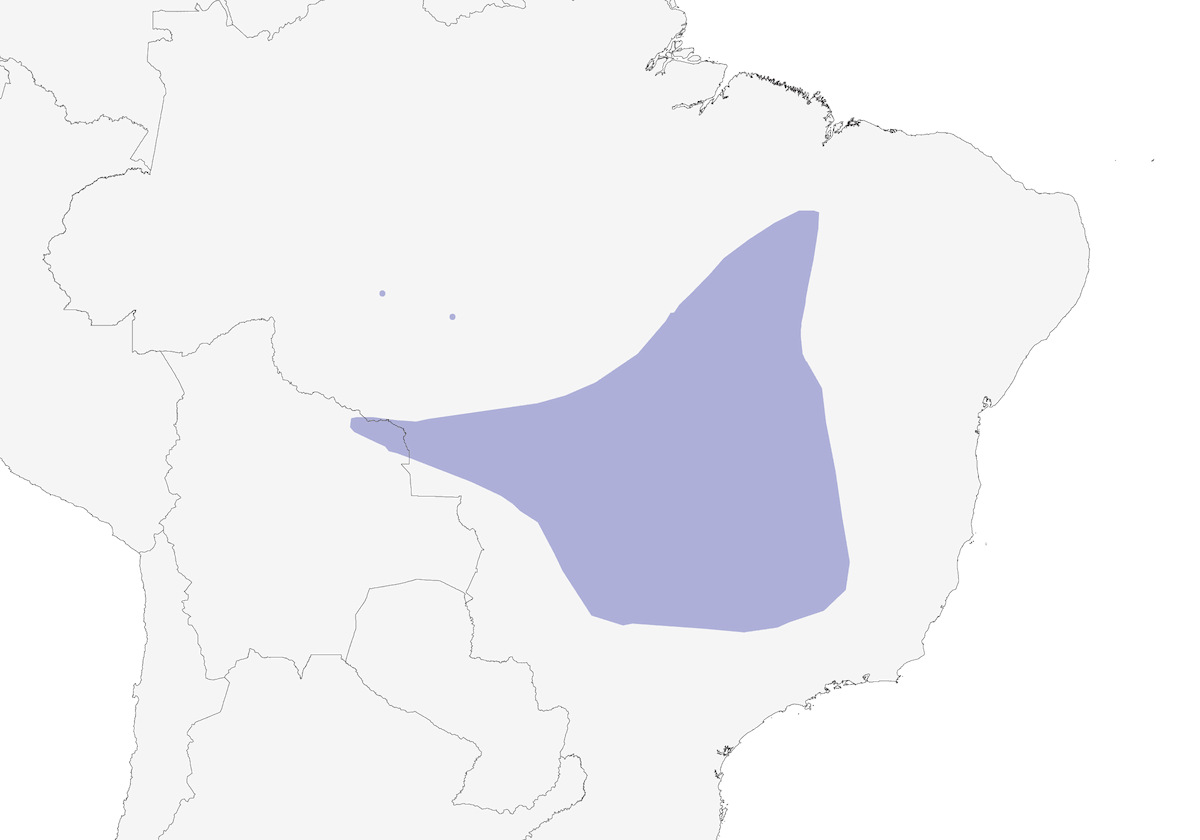 Chapada Flycatcher, Distribution 1