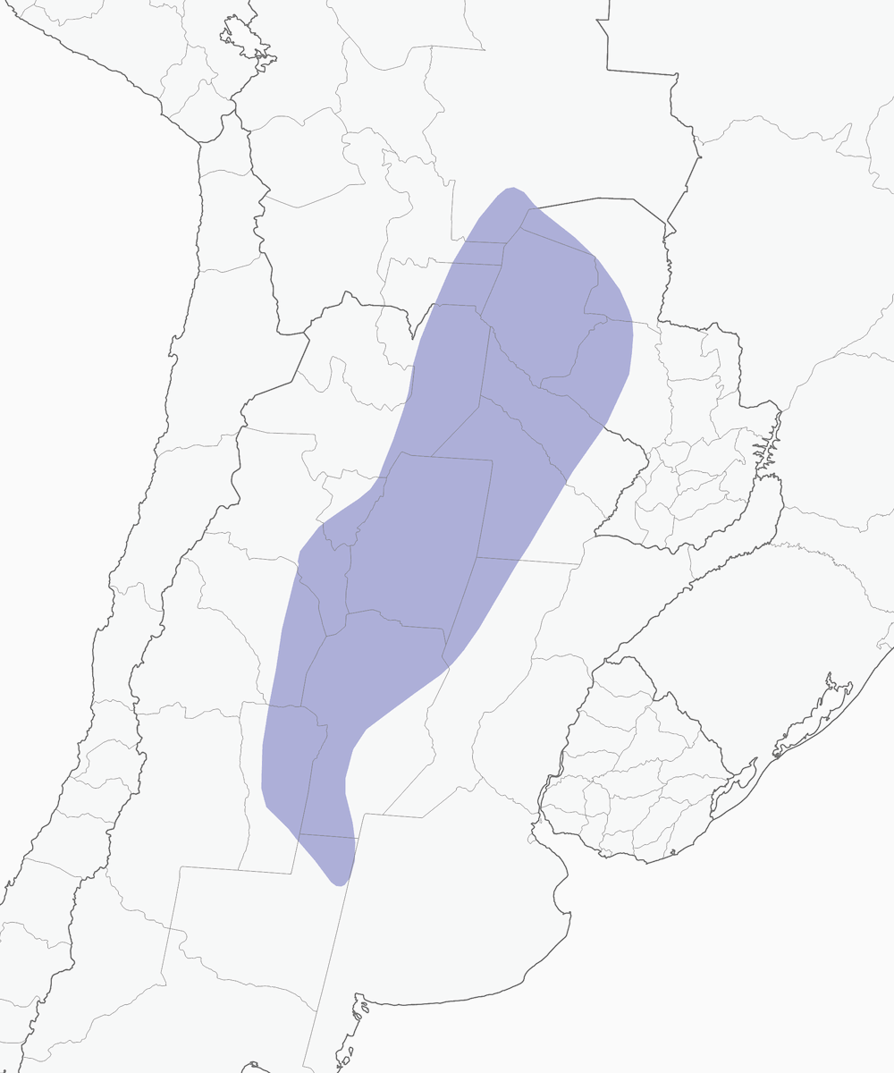 Chouette du Chaco, Distribution 1