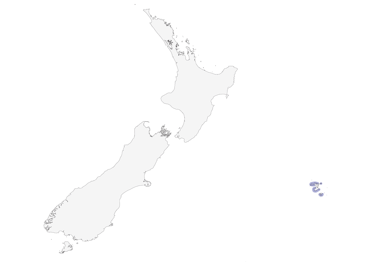 Chatham Islands Oystercatcher, 分布 1