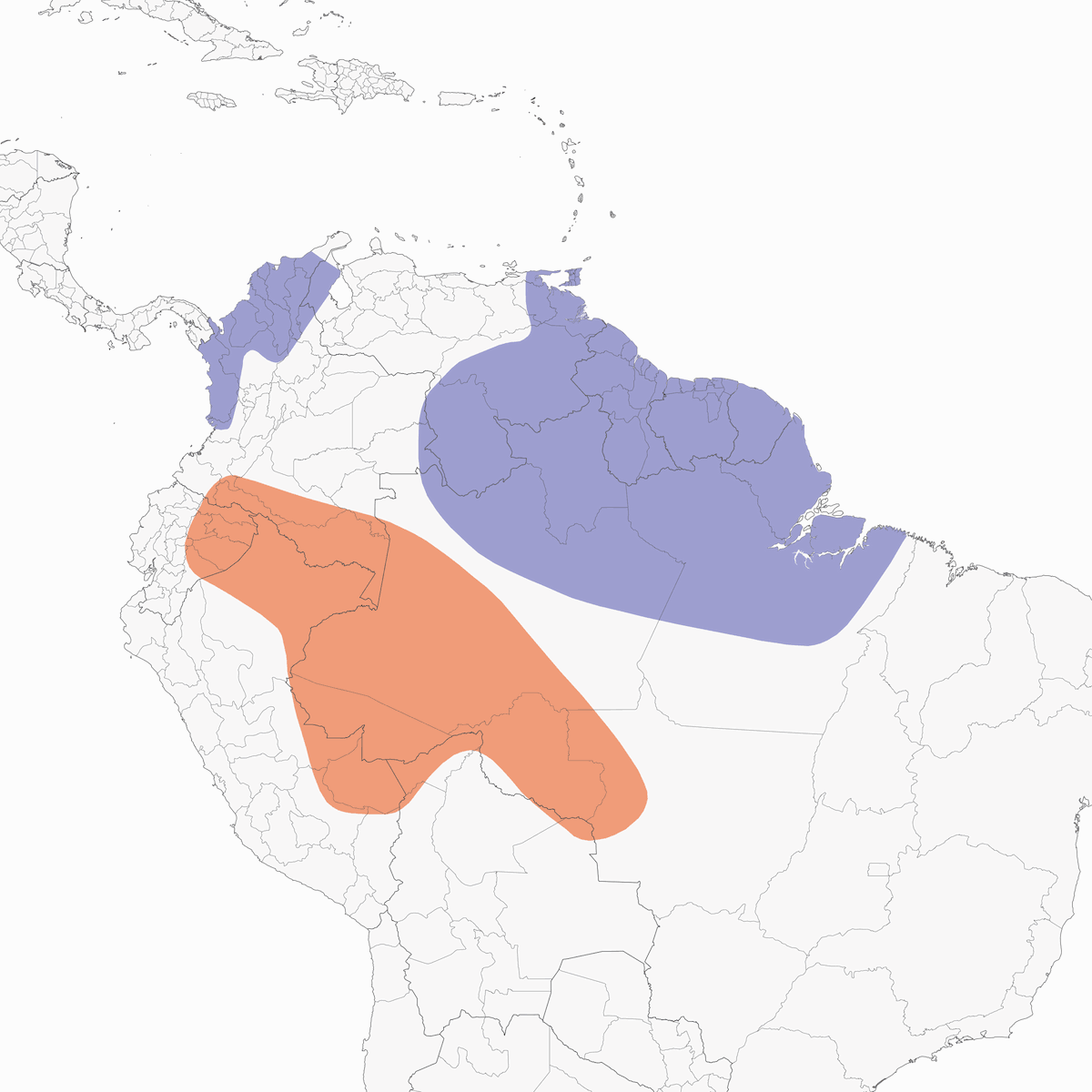 Vencejo de Chapman, Distribución 1