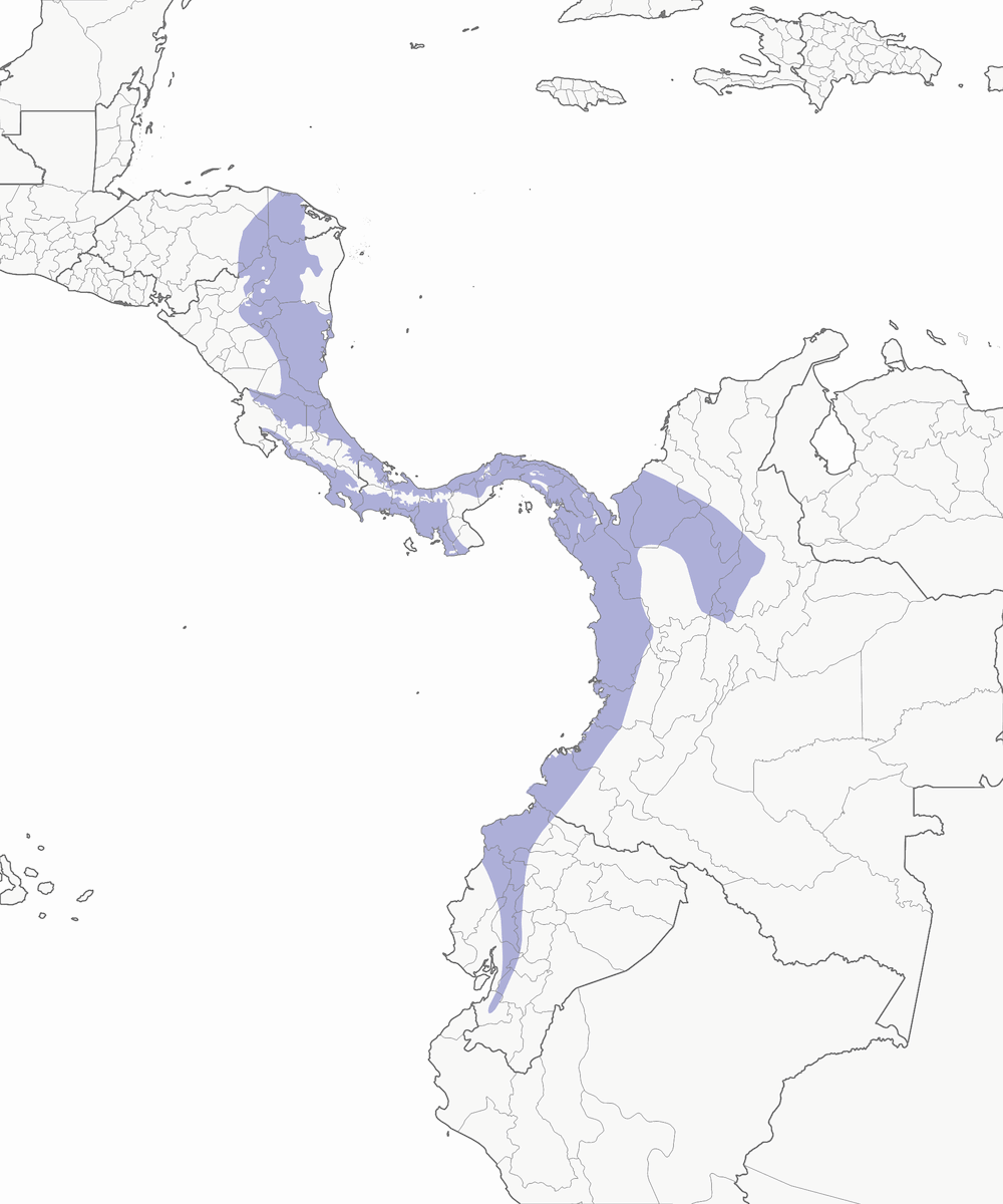 Formicario dorsocastano, Distribuzione 1