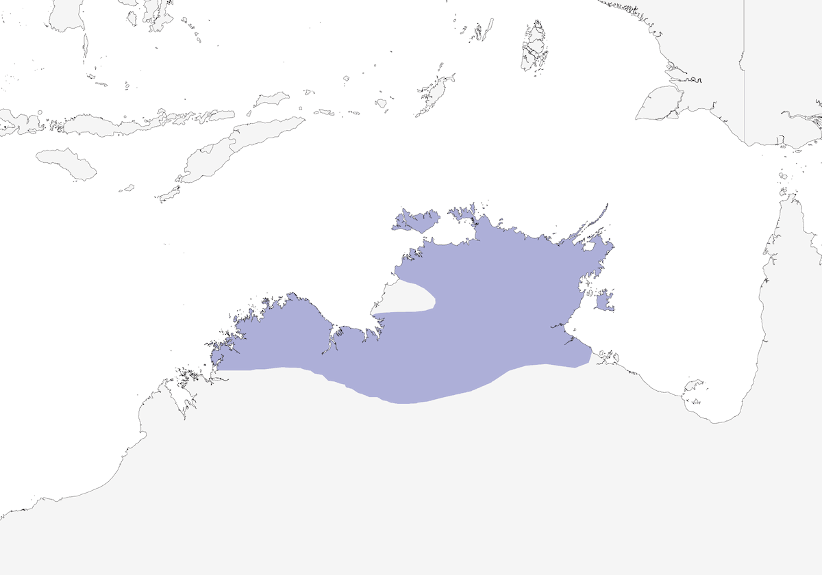 Quaglia bottone dorsocastano, Distribuzione 1