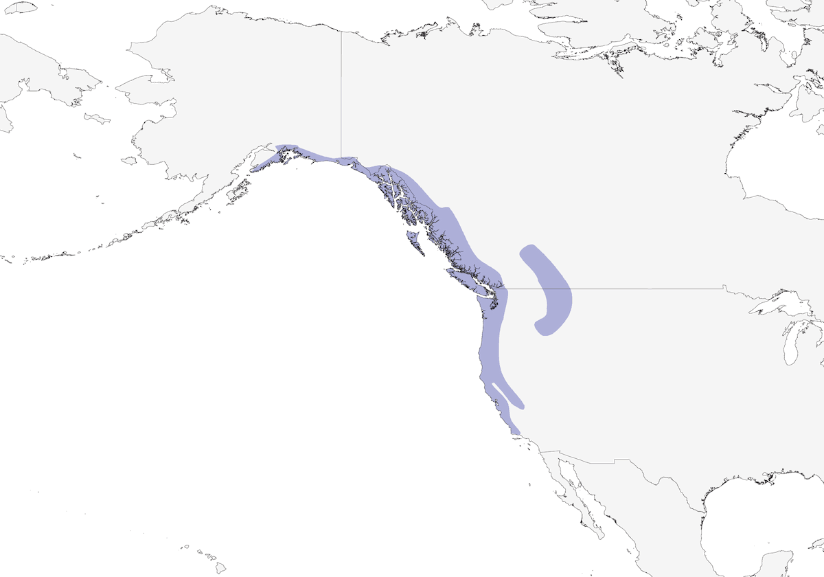 Carbonero Dorsicastaño, Distribución 1