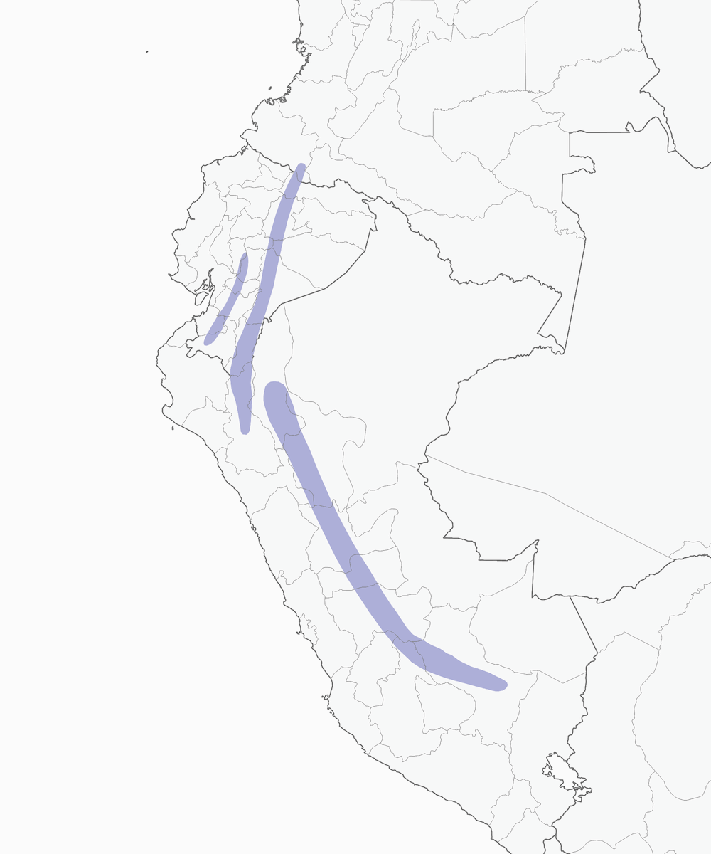 Coronita Pechicastaña, Distribución 1