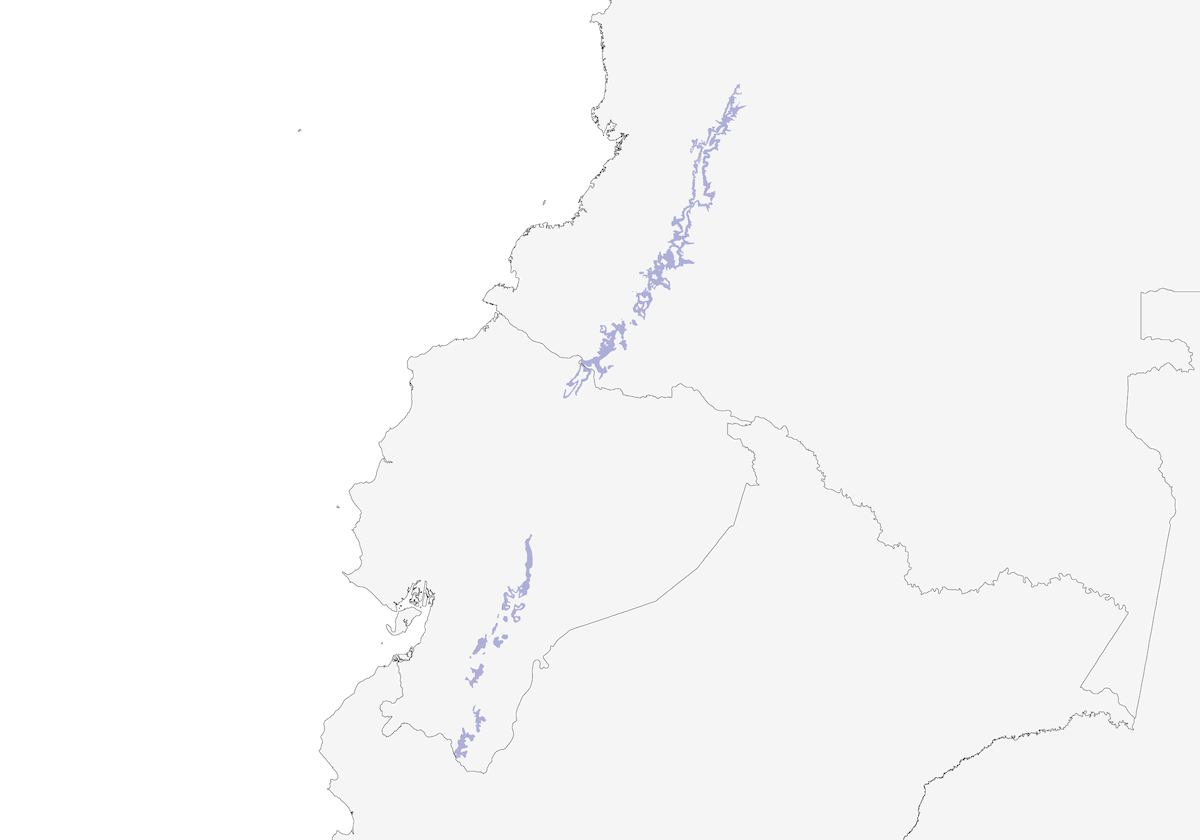 Cotinga à ventre roux, Distribution 1