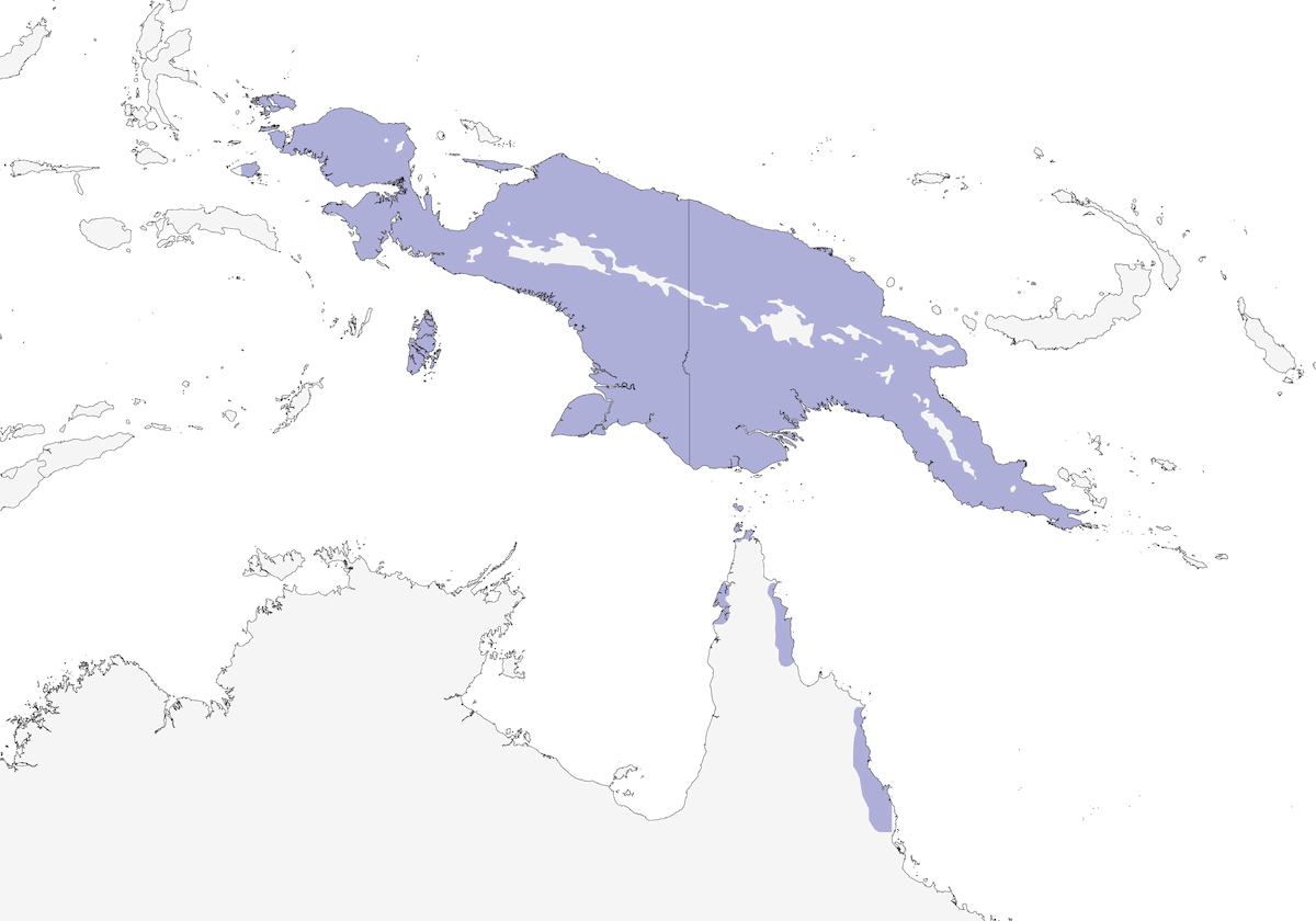 Cuculo pettocastano, Distribuzione 1