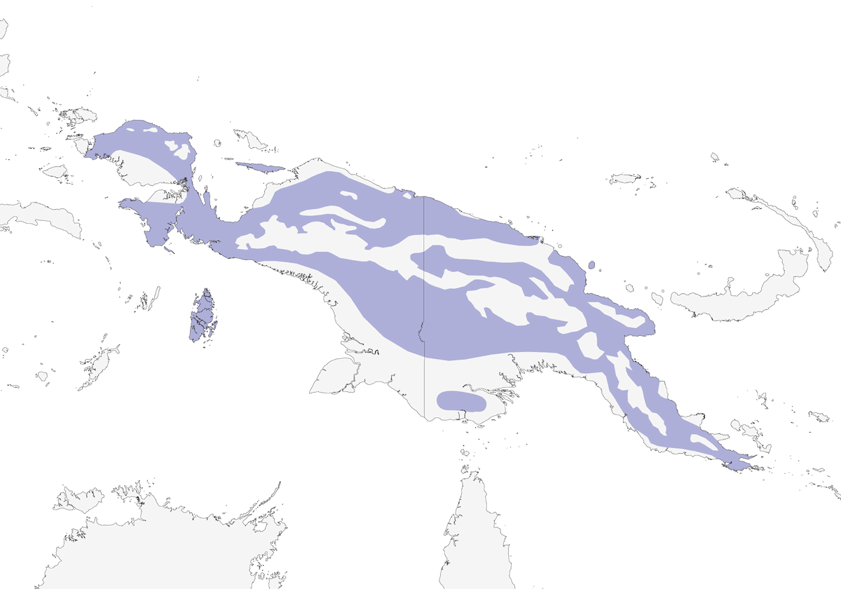 Chestnut-bellied Fantail, Distribution 1